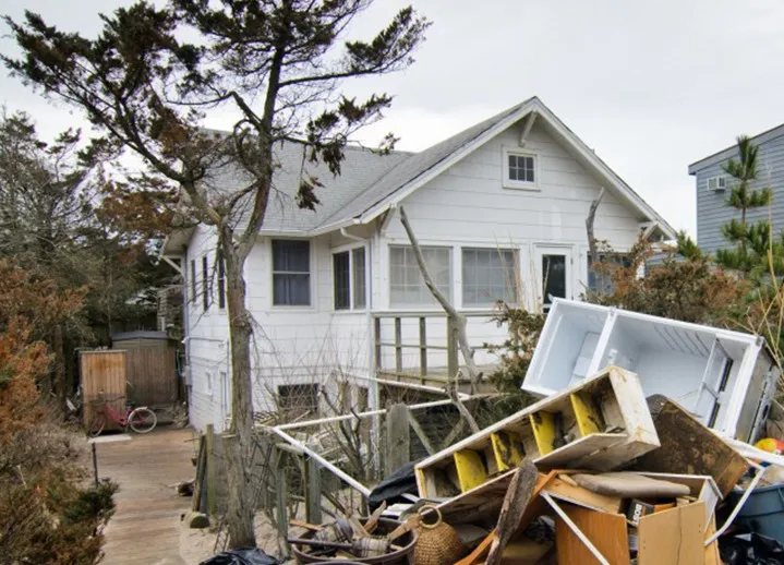 Вывоз мусора с дачи и дачного участка в Москве и МО